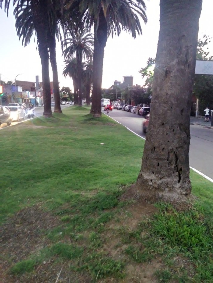 3 ambientes en alquiler